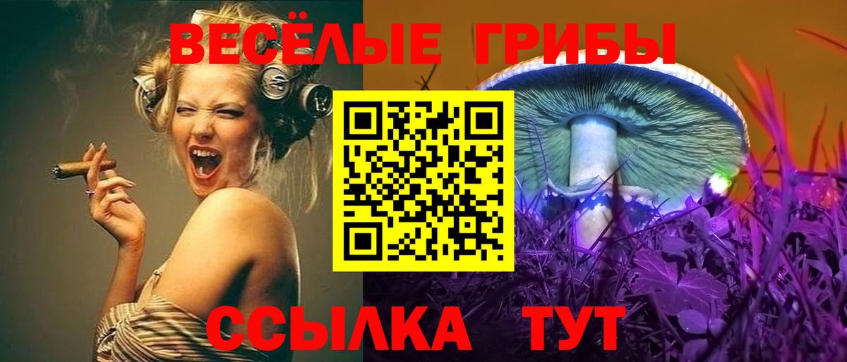 Галлюциногенные грибы мухоморы  Вход с VPN  Галлюциногенные грибы ЛСД  Фрязино 